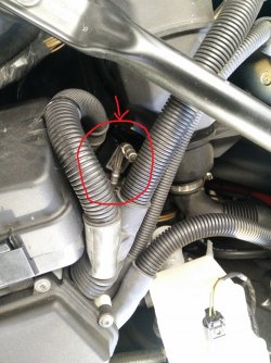 IMG_20181013_131112.jpg IMG_20181013_131112.jpg