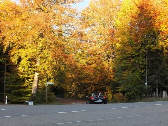 2018_1014_174007.JPG