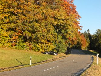 2018_1014_174824.JPG