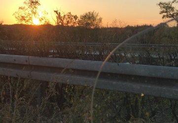 A3B290ED-9D35-413C-A9D0-757D082E1E04.jpeg