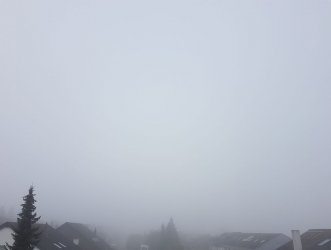 20181019_095353.jpg