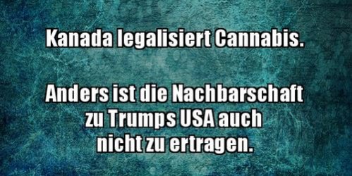 4Unbenannt.JPG