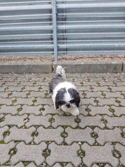 20181021_095219 Kopie.jpg