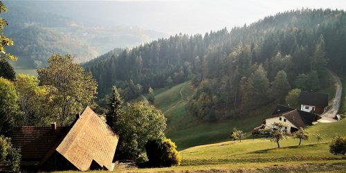 IMG_20181020_145644 k.jpg IMG_20181020_145644 k.jpg