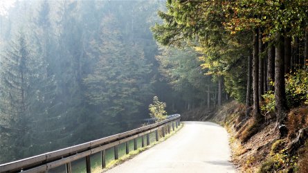 P1000565k.jpg P1000565k.jpg