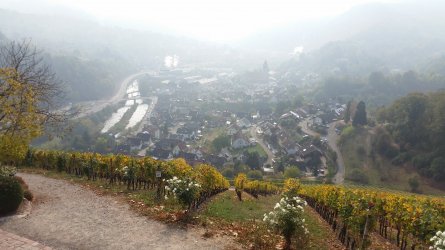 20181020_120107_small.jpg 20181020_120107_small.jpg