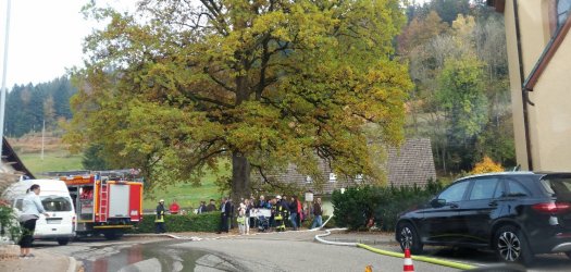 20181020_165427_small.jpg 20181020_165427_small.jpg