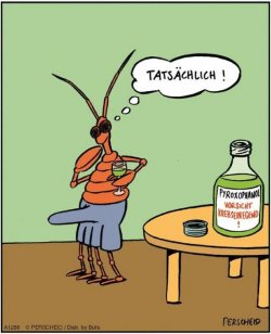 1Unbenannt.JPG