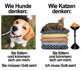 9Unbenannt.JPG