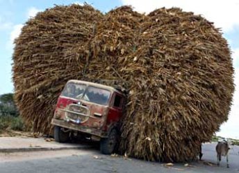overloaded.jpg
