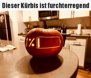 kuerbiss.jpg