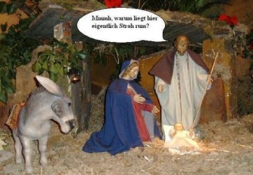 5Unbenannt.JPG
