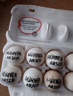 4Unbenannt.JPG