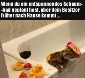 tttUnbenannt.JPG