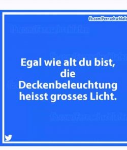20181103_155039.jpg
