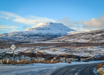 Sheep-in-Skye-Winter-Road-Trip-in-the-Scottish-Highlands-Snow-Scotland.jpg