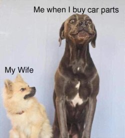 FB_IMG_1541442051954.jpg
