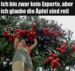 3Unbenannt.JPG