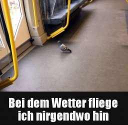 tUnbenannt.JPG