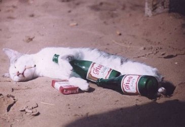 drug00018.jpg