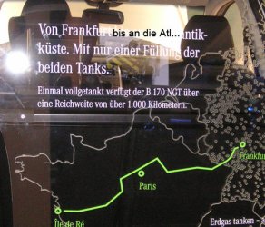 PICT5536.jpg