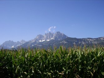 IMG_0524 (47).jpg