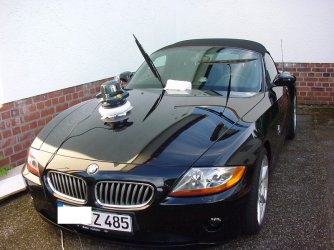 P3.jpg