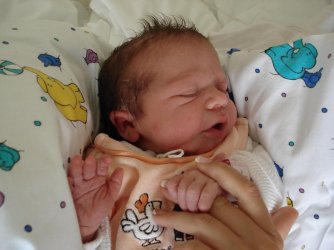 Lara drei Stunden alt.jpg Lara drei Stunden alt.jpg