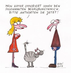 2017-begrc3bcc39fungsknick-kater.jpg