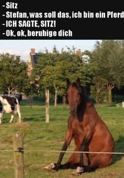 tUnbenannt.JPG