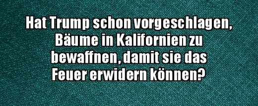 1Unbenannt.JPG