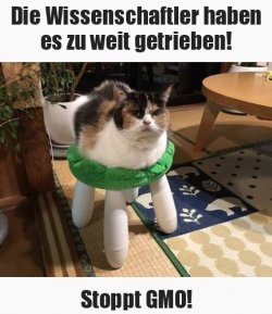 tUnbenannt.JPG