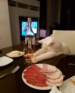 spassprediger_com_picdump_062_046.jpg