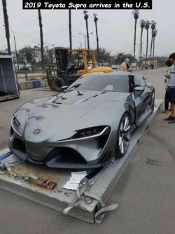supra.jpg