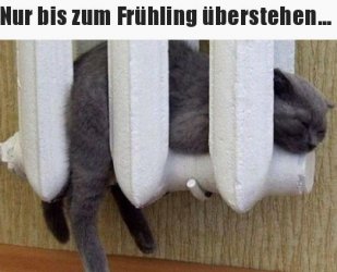 tUnbenannt.JPG