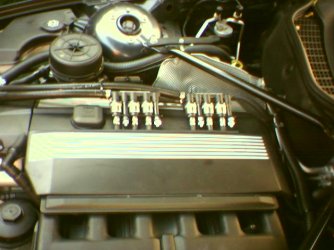Cam0103.jpg