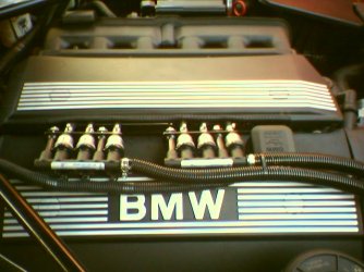Cam0104.jpg