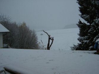 IMG00045.jpg