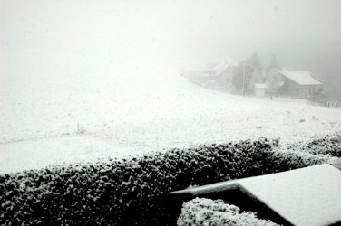DSC_0004.JPG