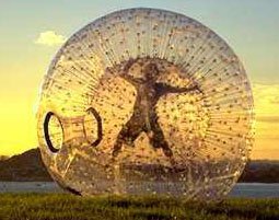 zorb1_bg.jpg