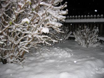 schnee 002.jpg