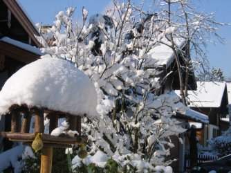 schnee 009.jpg