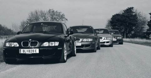 4 Beauties.jpg
