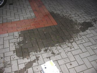 IMG_2960.jpg