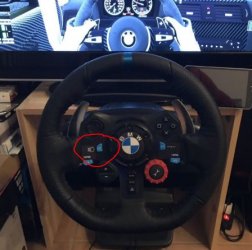 g29.JPG