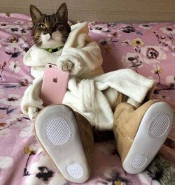 spassprediger_com_picdump_070_051.jpg
