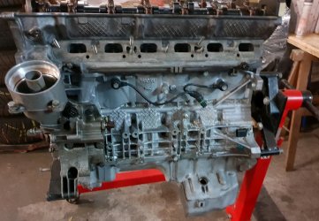20181206_084002_crop_915x635.jpg