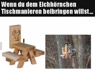 ttUnbenannt.JPG