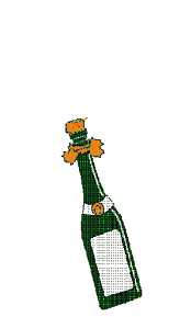 silvester_0057.gif