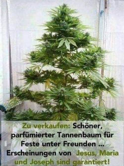 IMG-20181128-WA0001.jpg